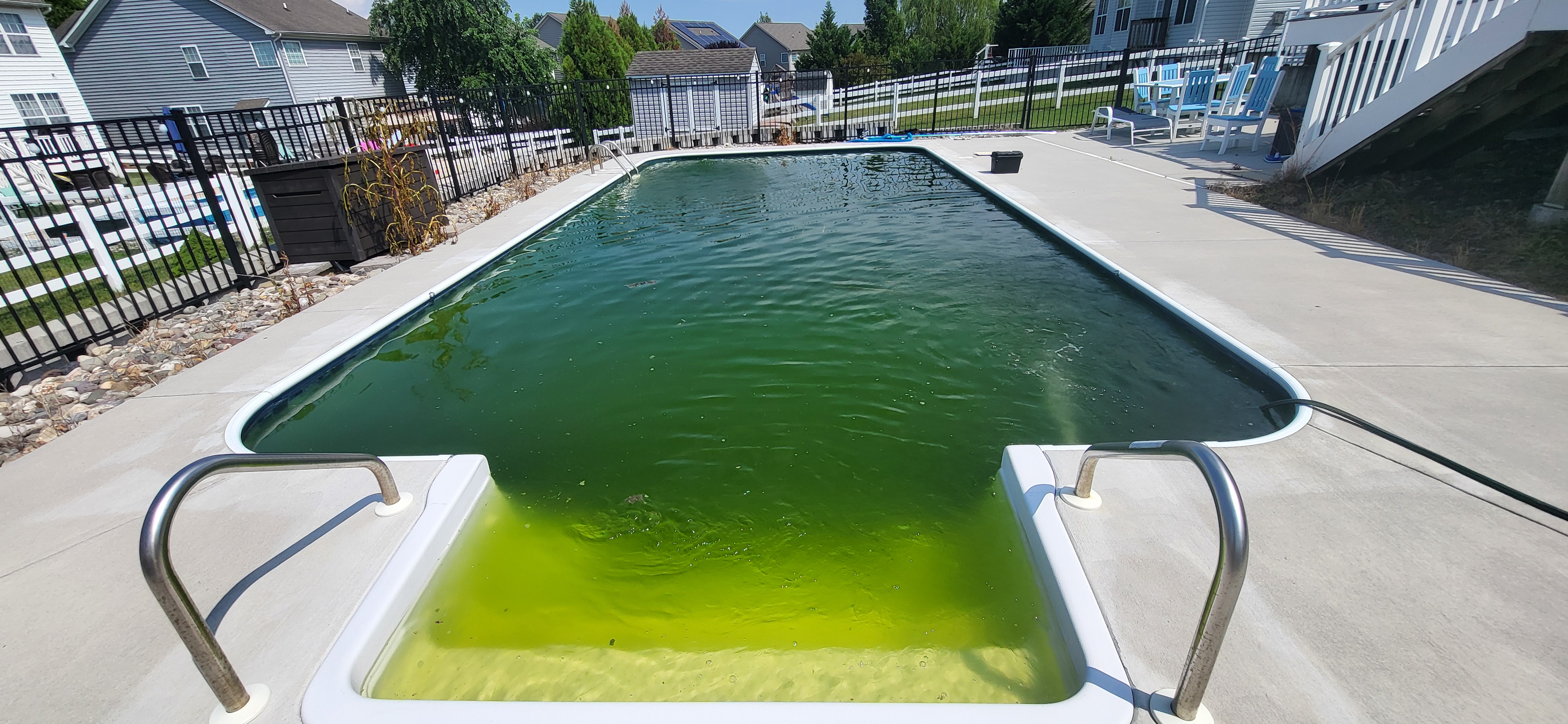 Bright green pool with algae